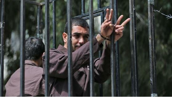 Palestinian prisoners suffering medical neglect: Report