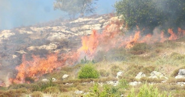 Israeli settlers set fire to Palestinian farmland in Nablus