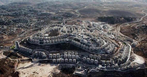 Israeli plan to seize dozens of dunums west of Salfit