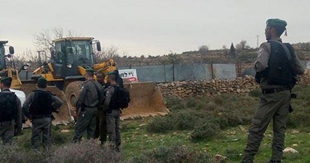Israeli forces bulldoze cultivated Palestinian land, chop olive trees