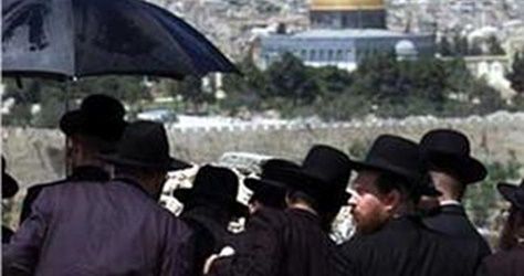 161 Israeli settlers break into Aqsa Mosque on 13th day of Ramadan