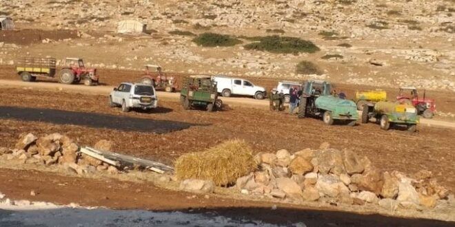 Resisting the wall, grab an order prohibiting the eviction of five families or demolition of their tents in Khirbat Abziq.