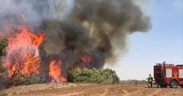 Balloons fired from besieged Gaza spark fires in Israeli locations