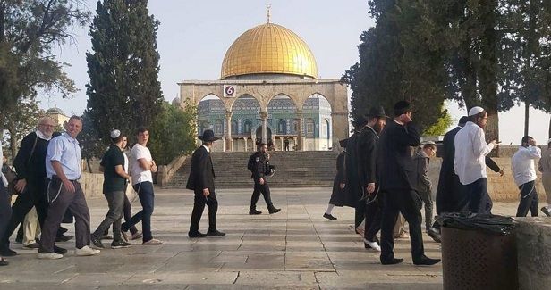 Dozens of Jewish settlers storm al-Aqsa