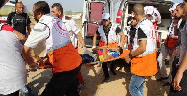 Violations report: Four killed, hundreds wounded in Gaza last week