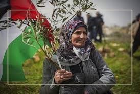 Three Lessons from Palestine to Overcome the Pandemic