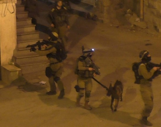 Israeli forces detain 5 Palestinian family members during northern West Bank raid