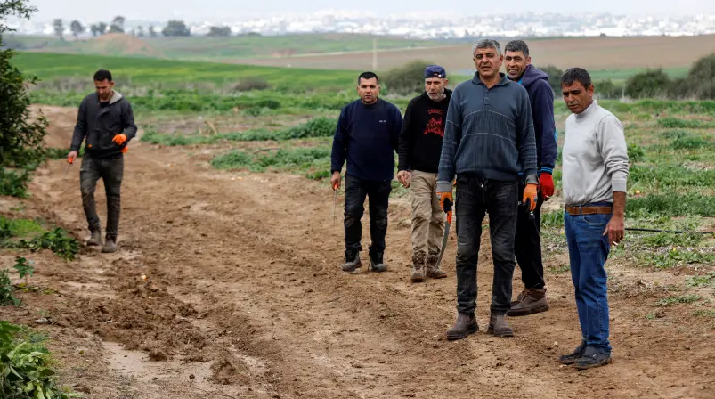 Palestinian unemployment in West Bank, Gaza Strip on decline - report