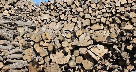 Firewood vendor sits lonely in Gaza