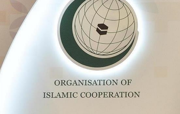 OIC urges action against 'barbaric' Israeli attacks on Palestinians