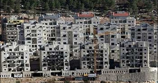 Amnesty International: States must ban Israeli settlement products