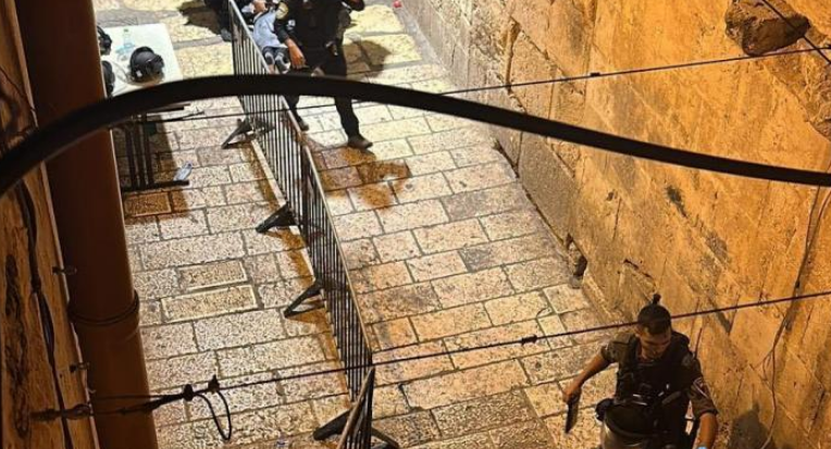 Israeli police arrest Palestinian young girl over alleged stabbing