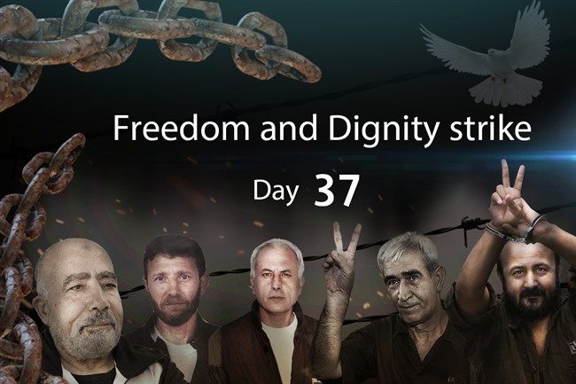 No signs of negotiations with Israel as prisoners plan to refuse salt and water