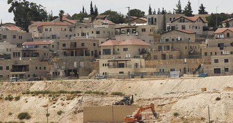 Gunmen open fire at Tekoa settlement in W. Bank