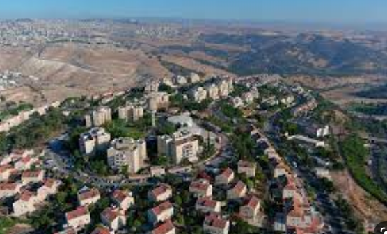 Palestinian fears are growing due to Israeli high pace of carrying out settlement plans