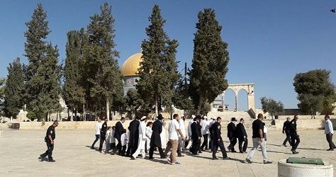 Dozens of settlers defile Aqsa Mosque