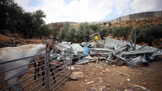 Israel demolishes farming and commercial facilities in occupied West Bank