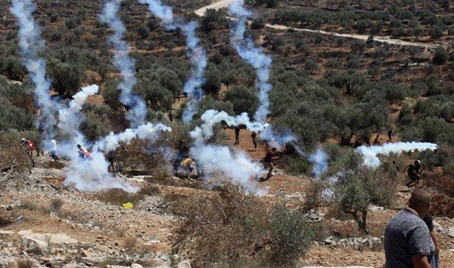 154 Palestinians injured in anti-settlement weekly marches