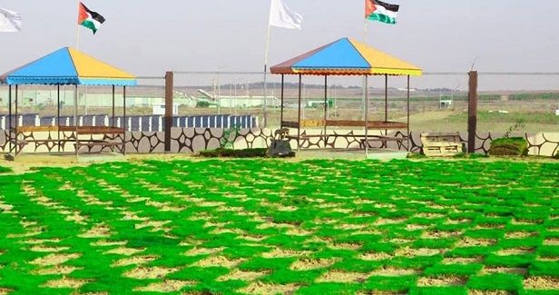Return Park brings life to 'unlivable' Gaza area