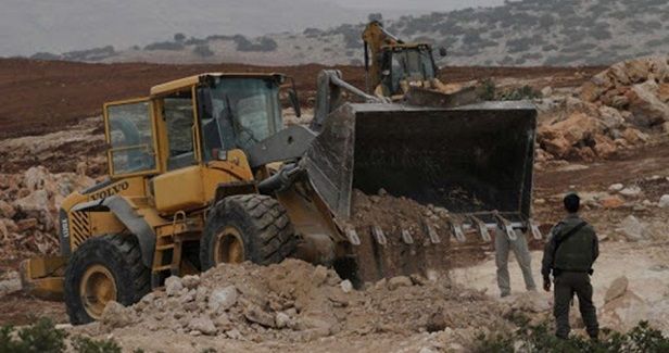 Israeli army bulldozes dozens of olive trees in Bethlehem