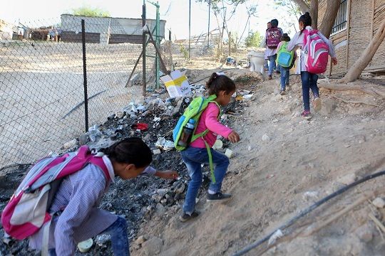 Palestine: Two schools evacuated as Israeli gunman open fires outside