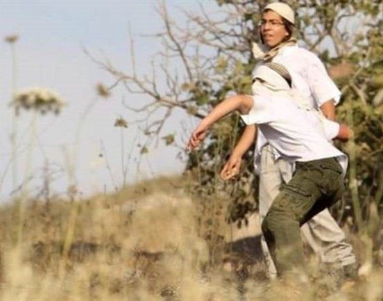 Israeli bulldozers raze agricultural lands in Hebron