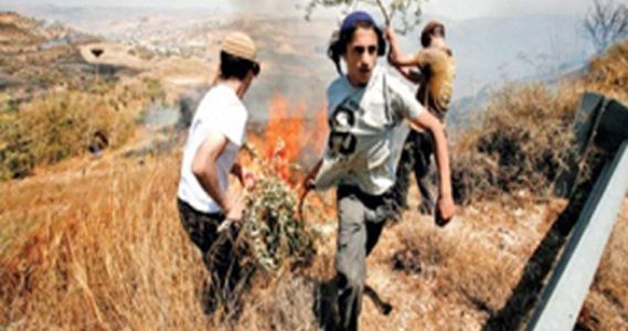 Jewish settlers attack Burin town, set fire to olive fields