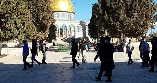 31 Israeli settlers break into 3rd holiest site in Islam