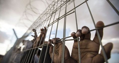 Israeli forces storm section 1 in Nafha prison