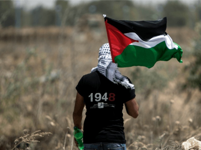 Palestinian and foreign activists hold virtual rally on Gaza siege