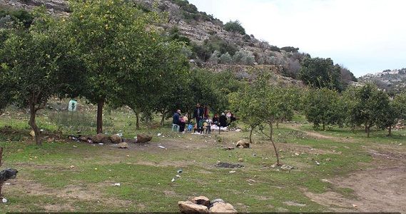 Wadi Qana, Palestinian agricultural valley marred by settlements