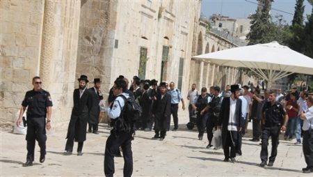 131 settlers storm Al-Aqsa mosque yards, Sunday