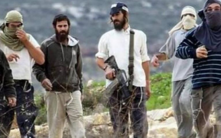 Eight Palestinians injured in settlers attack south of Nablus