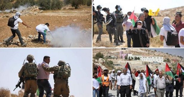 IOF quells protest against settlement activity in southern al-Khalil