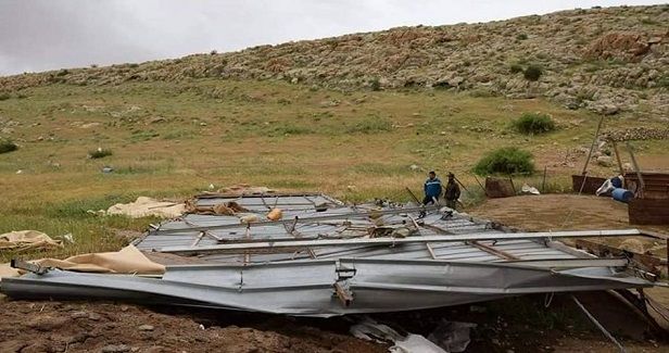 IOF cuts down 200 cactus seedlings in Jordan Valley