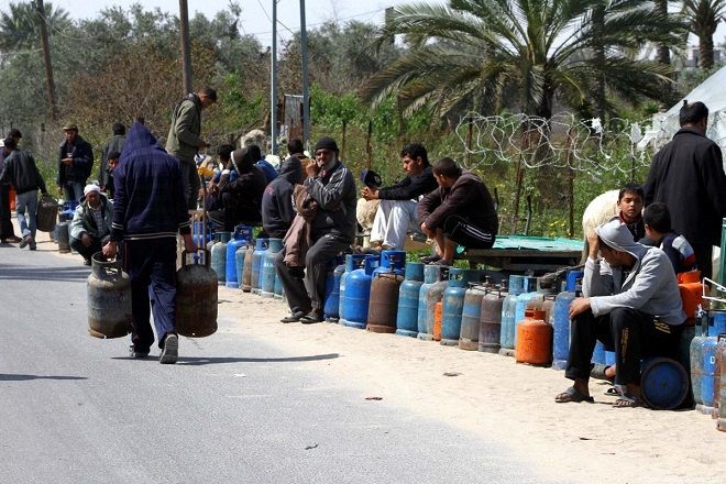 Gaza extracts cooking gas from animals� manure