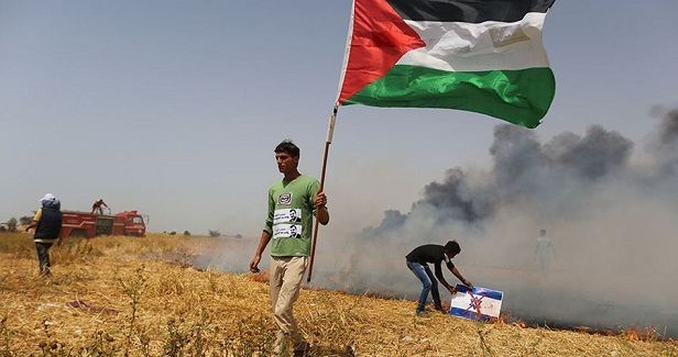 Palestine is Not a Lost Cause � and This is Why