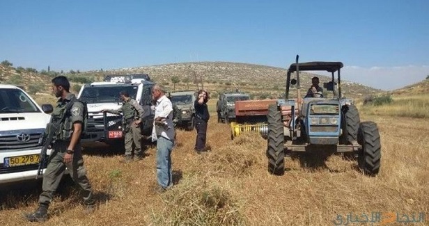 IOF kidnaps two farmers west of Jenin