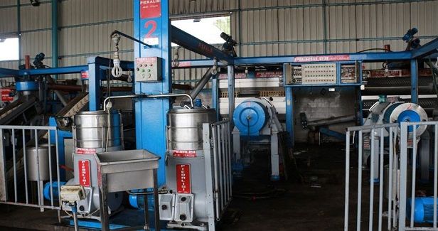 Gaza olive oil season: Low production and early departure