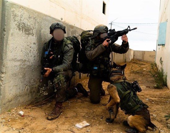 Israeli forces detain 24 Palestinians in West Bank raids