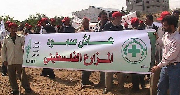 Israel to close Palestinian agricultural society