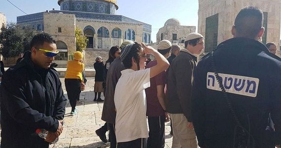 84 Israeli settlers storm 3rd holiest site in Islam