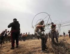 Israeli forces detain Palestinian after crossing Gaza fence