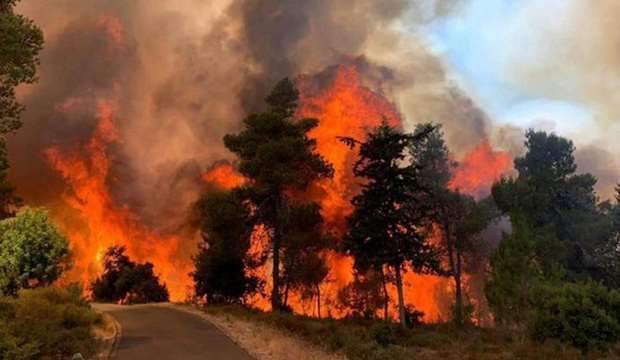 J�lem: Ein Naqquba villagers refuse to leave homes despite wildfire