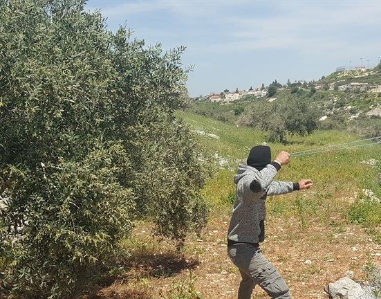 Palestinian injured, dozens suffocate with tear-gas in Kafr Qaddum