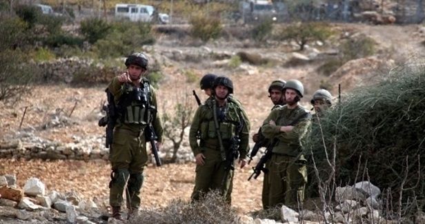 IOA to seize 130 dunums of land in southern al-Khalil