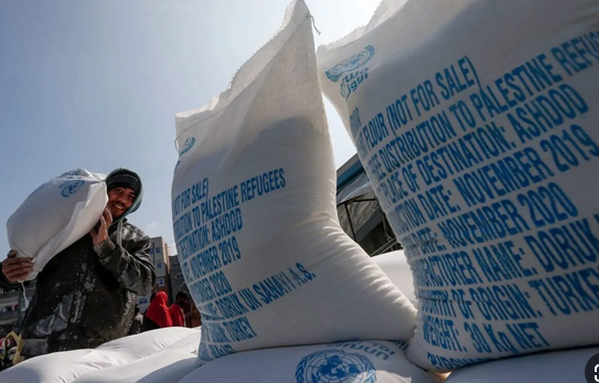 Humanitarian aid for Palestinians favors Israel's colonial enterprise