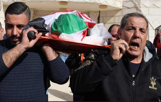 Palestinians don't need Israel investigated, they need justice