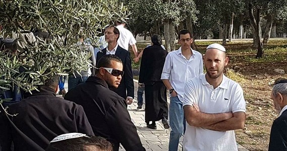 Groups of Jewish settlers defile Aqsa Mosque en masse
