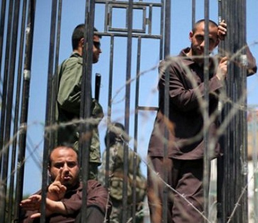 Palestinian prisoners  restoring the right path of Palestinian struggle